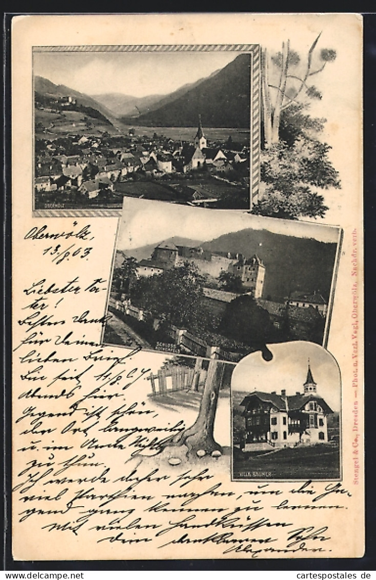 AK Oberwölz, Villa Baumer, Schloss Rothenfels, Totalansicht  - Autres & Non Classés