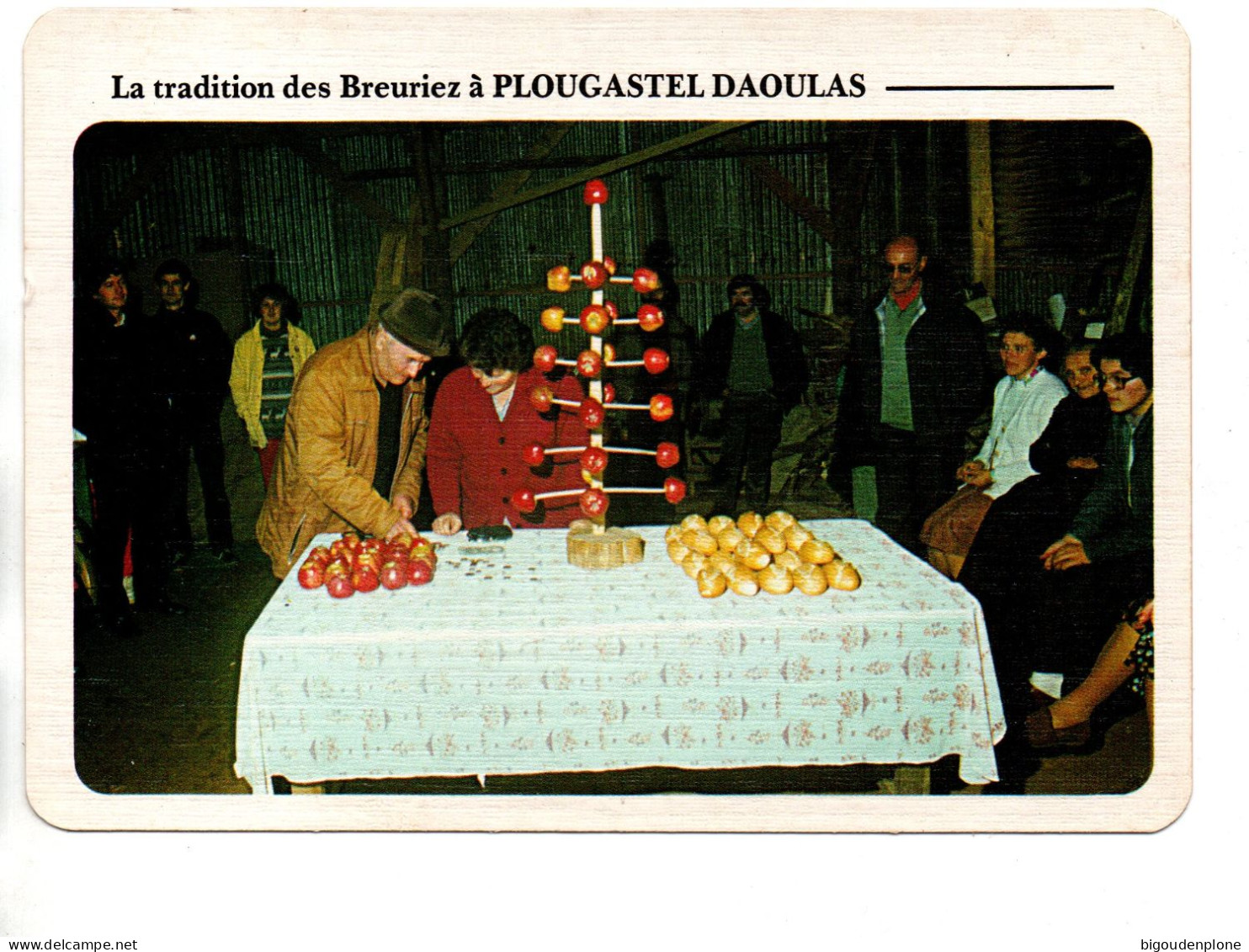 CPM PLOUGASTEL DAOULAS La Tradition Des Breuriez - Plougastel-Daoulas