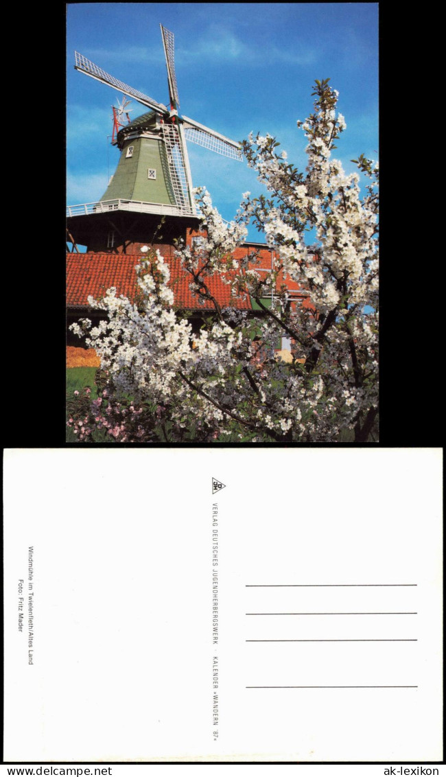 Ansichtskarte  Windmühle Im Twielenfleth Altes Land 1987 - Unclassified