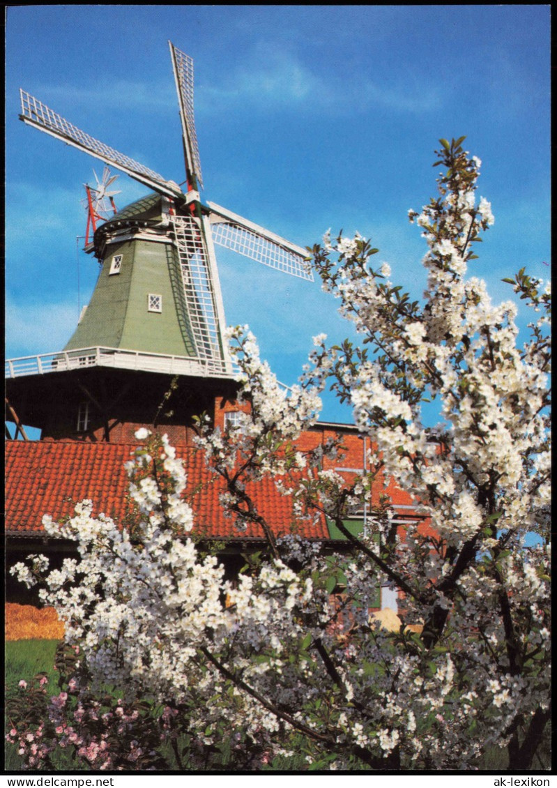 Ansichtskarte  Windmühle Im Twielenfleth Altes Land 1987 - Non Classés