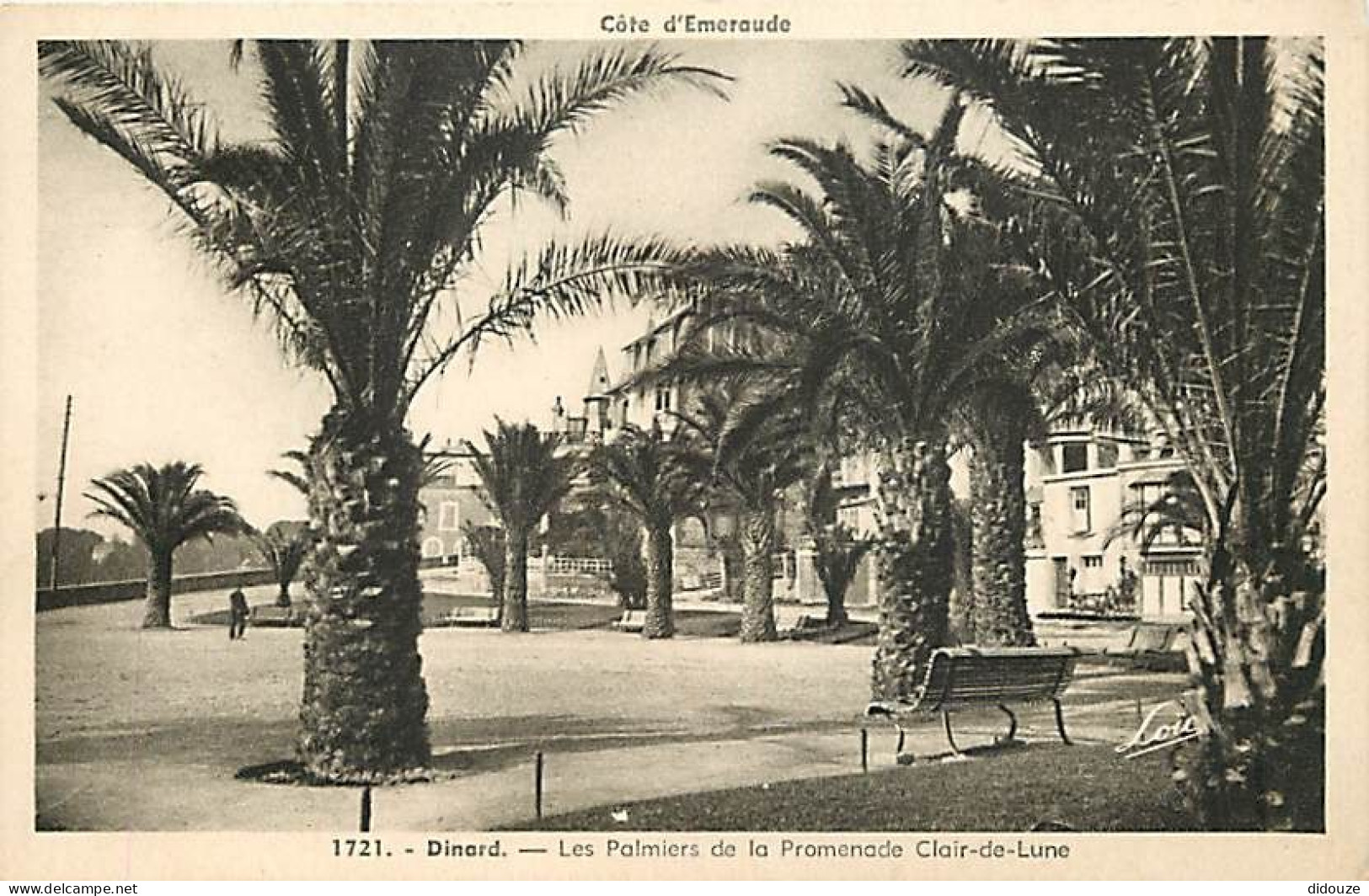 35 - Dinard - Les Palmiers De La Promenade Clair-de-Lune - CPA - Voir Scans Recto-Verso - Dinard