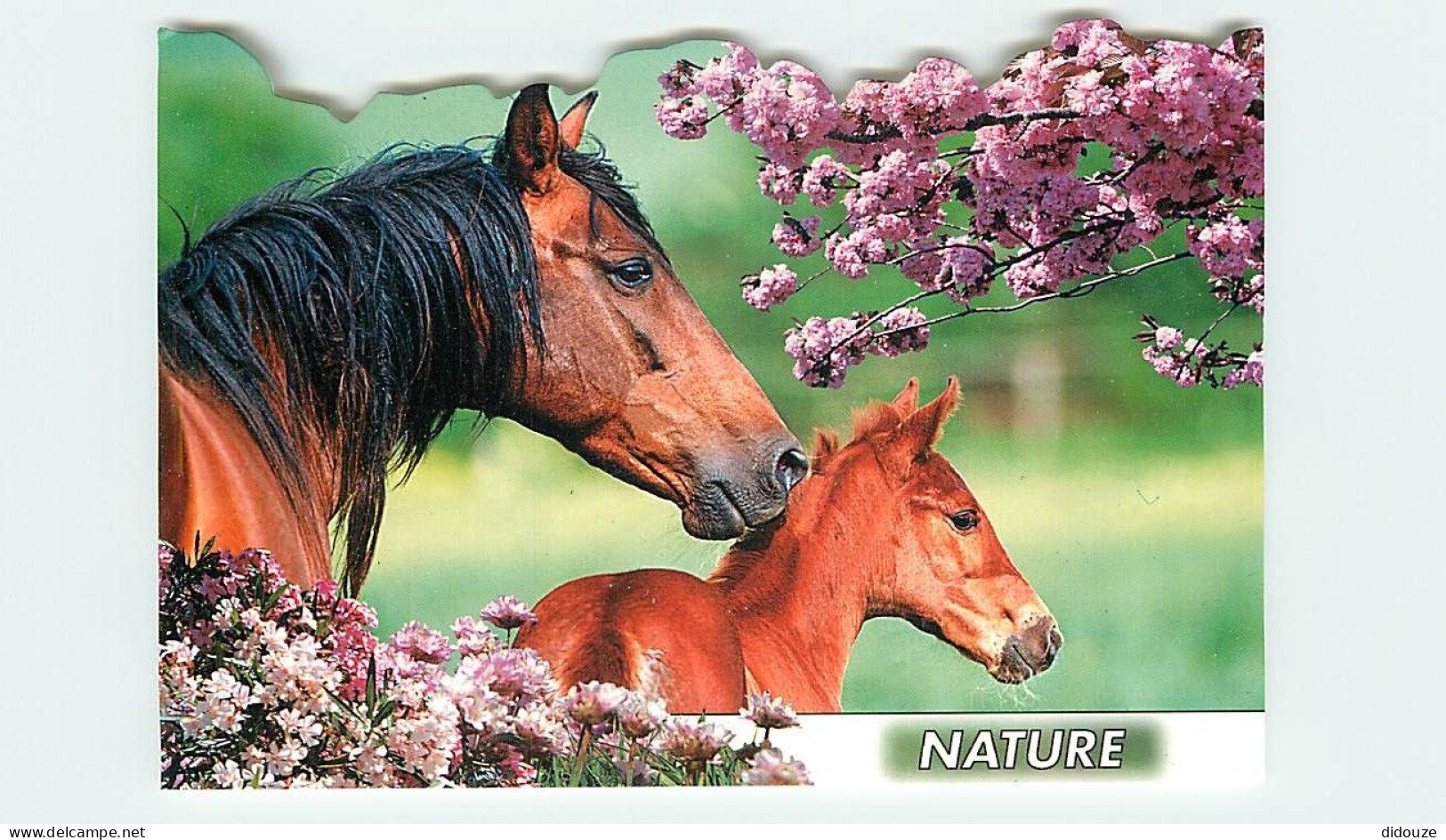 Format Spécial - 168 X 115 Mms - Animaux - Chevaux - Pouliche Et Son Poulain - Fleurs - Découpe Originale - Carte Neuve  - Horses