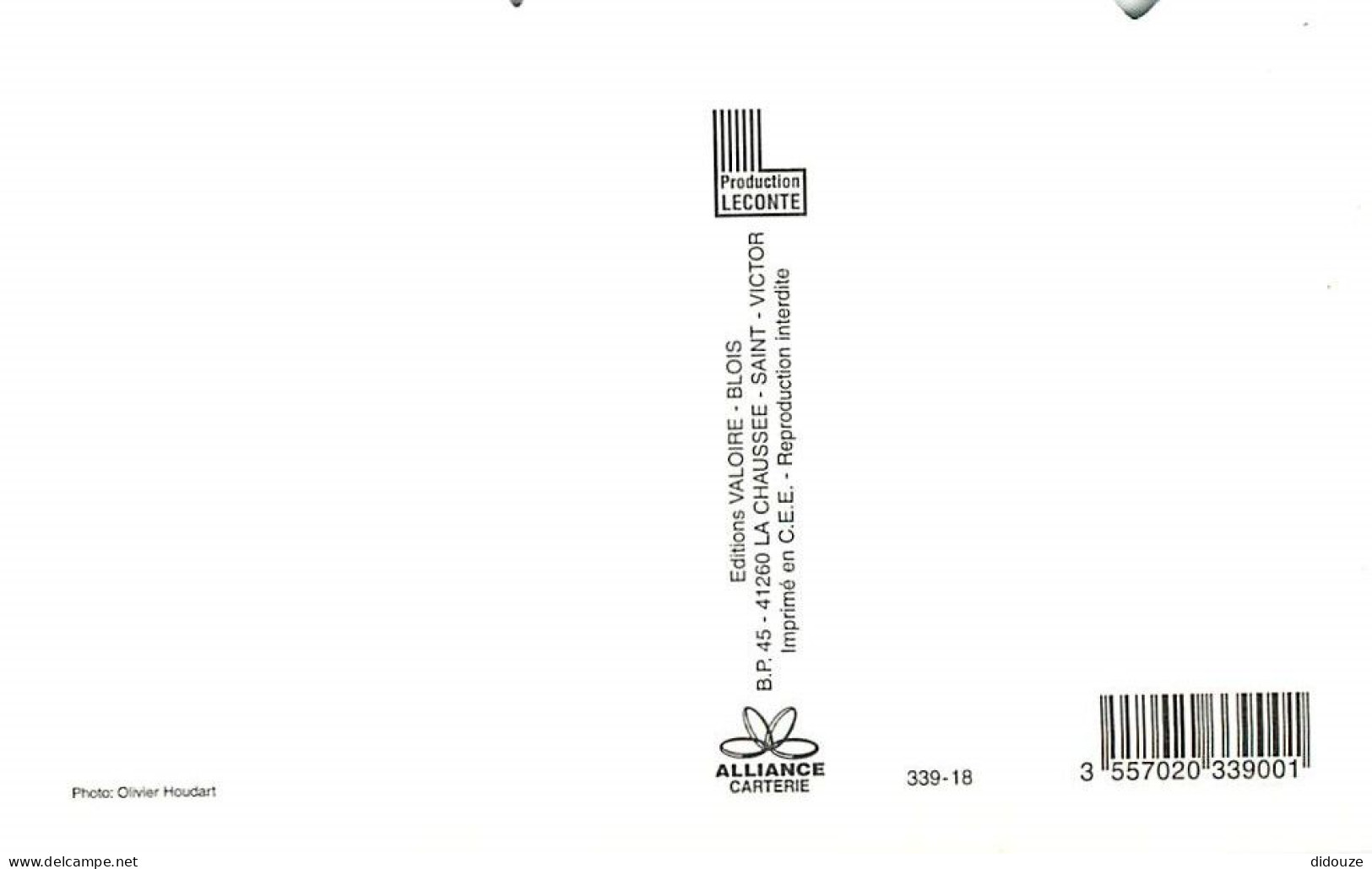 Format Spécial - 168 X 115 Mms - Animaux - Chevaux - Pouliche Et Son Poulain - Fleurs - Découpe Originale - Carte Neuve  - Chevaux