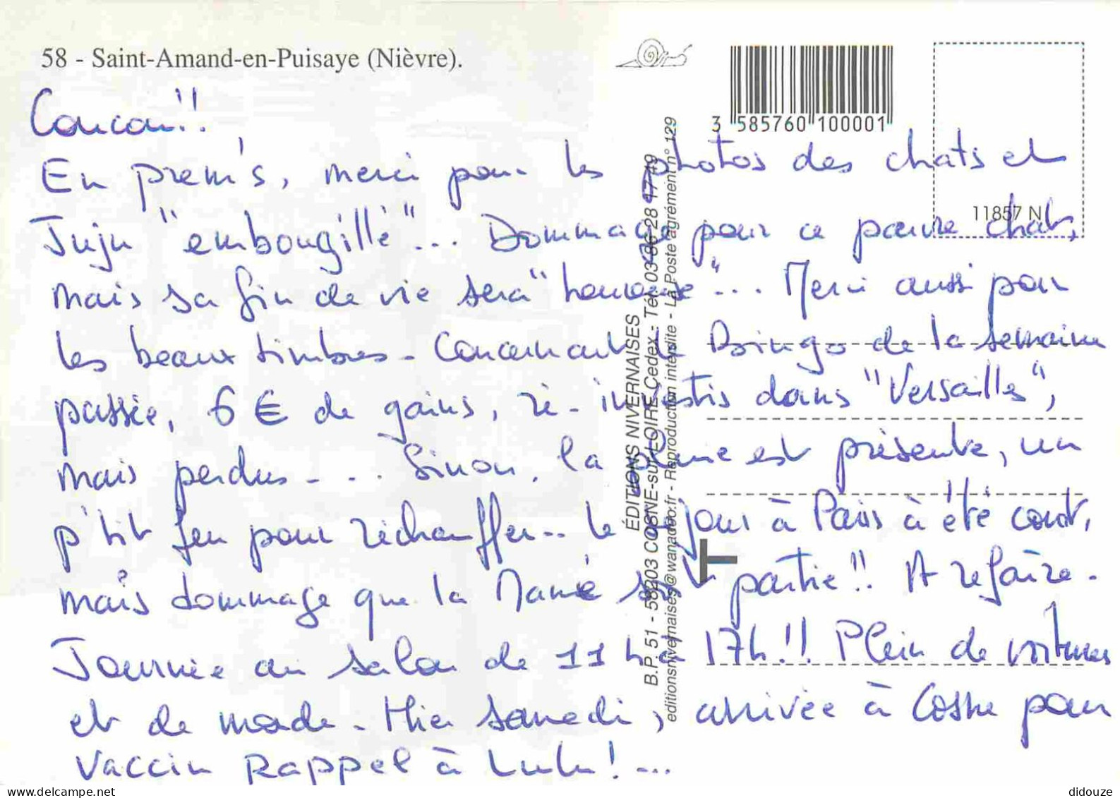 58 - Saint Amand En Puisaye - Multivues - CPM - Voir Scans Recto-Verso - Saint-Amand-en-Puisaye