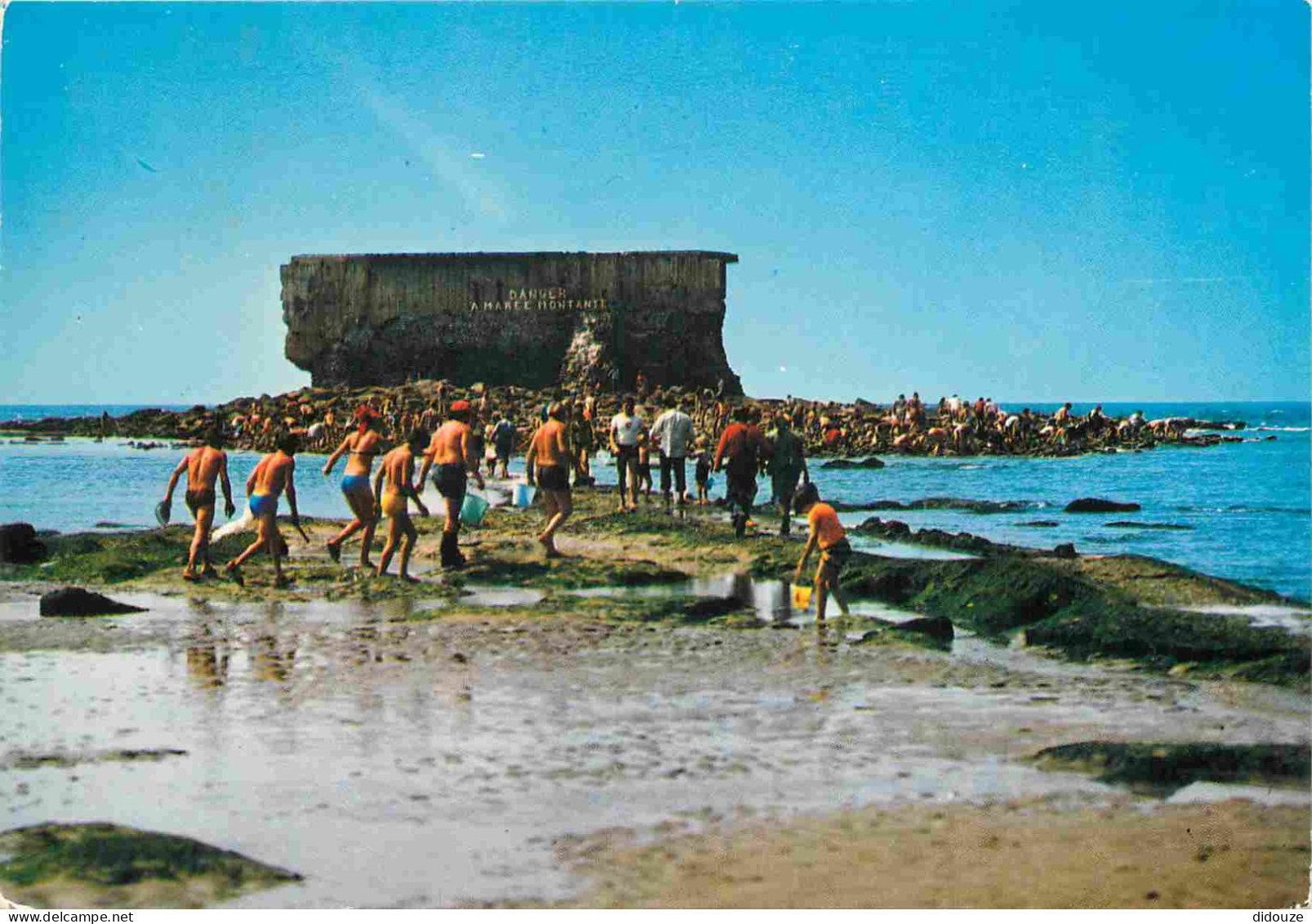 62 - Le Portel - Cueillette Des Moules Sur Le Fort De I'Heurt - CPM - Voir Scans Recto-Verso - Le Portel