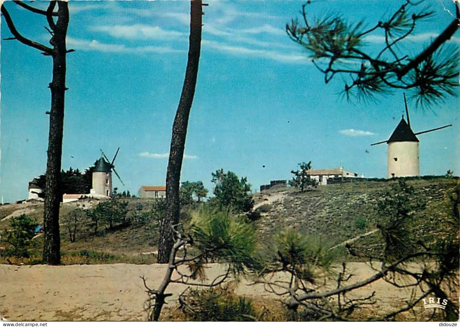 85 - Ile De Noirmoutier - La Guérinière - Les Moulins - CPM - Voir Scans Recto-Verso - Ile De Noirmoutier