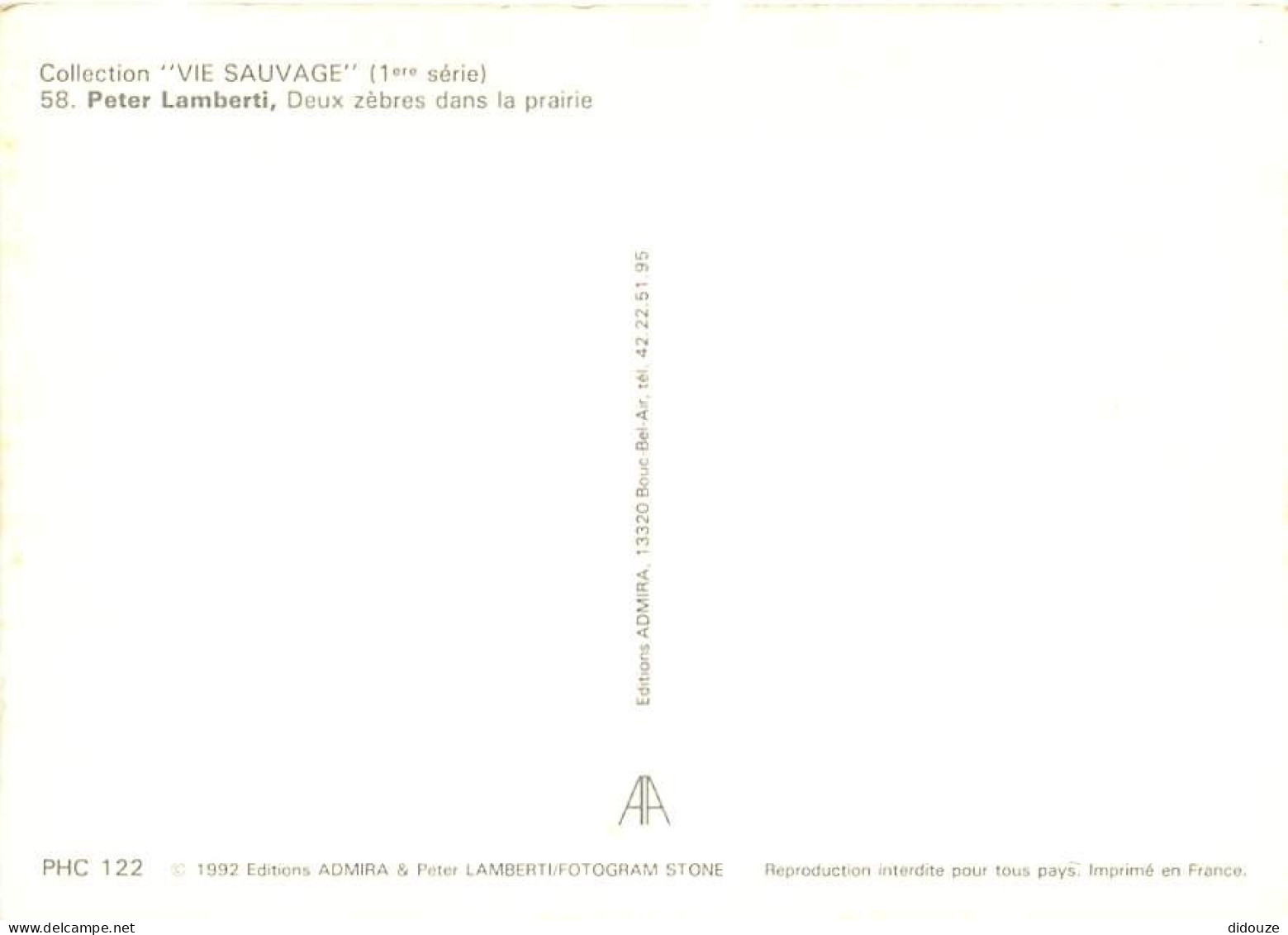 Animaux - Zèbres - Collection Vie Sauvage - CPM - Carte Neuve - Voir Scans Recto-Verso - Zebre