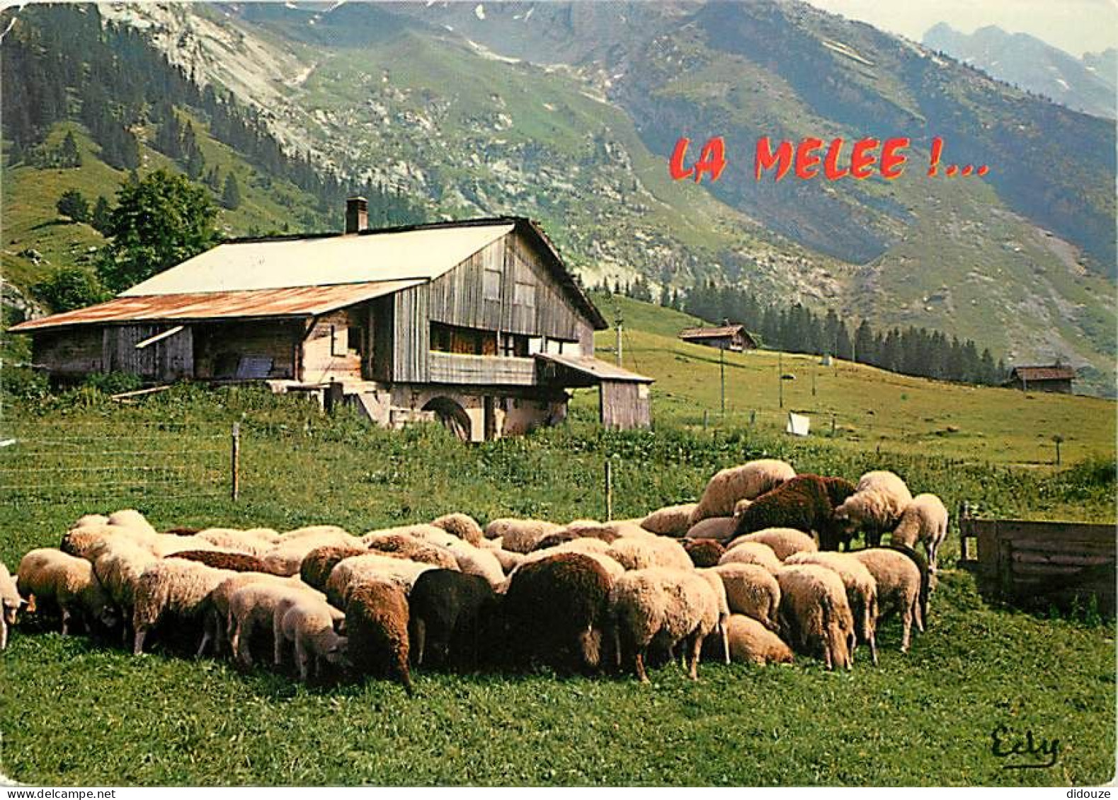 Animaux - Moutons - Moutons Au Repos - CPM - Voir Scans Recto-Verso - Otros & Sin Clasificación