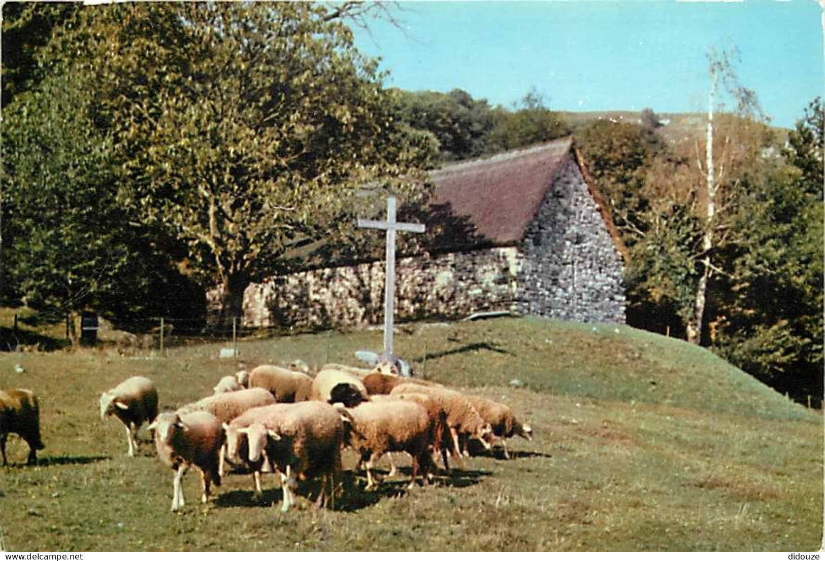 Animaux - Moutons - Lourdes - La Chapelle - CPM - Voir Scans Recto-Verso - Andere & Zonder Classificatie