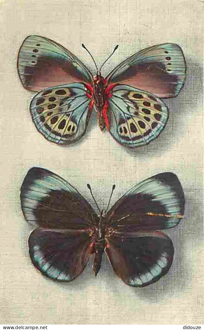 Animaux - Papillons - Callithéa Leprieuri - Vu Sur Ses Deux Faces - Collection Boubée - Carte éditée Par Le Comité Natio - Vlinders