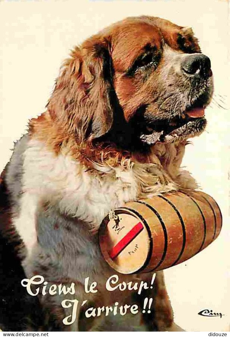 Animaux - Chiens - Saint Bernard - Carte Humoristique - Tonneau - CPM - Voir Scans Recto-Verso - Chiens