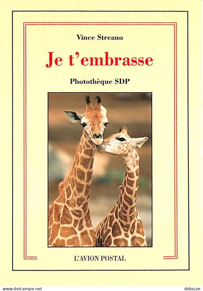 Animaux - Girafes - Carte Neuve - CPM - Voir Scans Recto-Verso - Giraffe