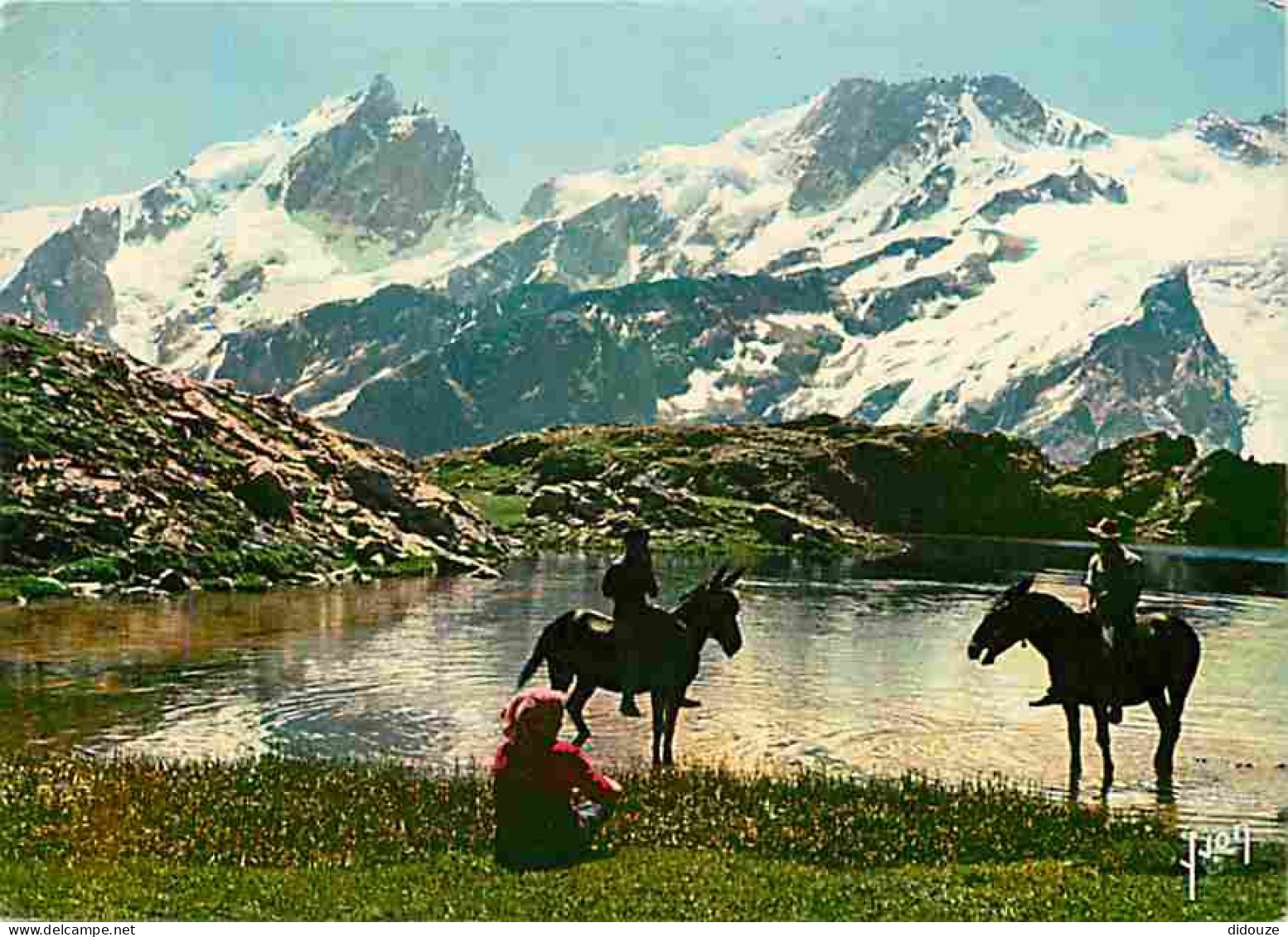 Animaux - Chevaux - Environs De La Grave - Le Lac Lérié Dominé Par La Meije Et Le Râteau Vus Du Plateau D'Emparis - CPM  - Chevaux