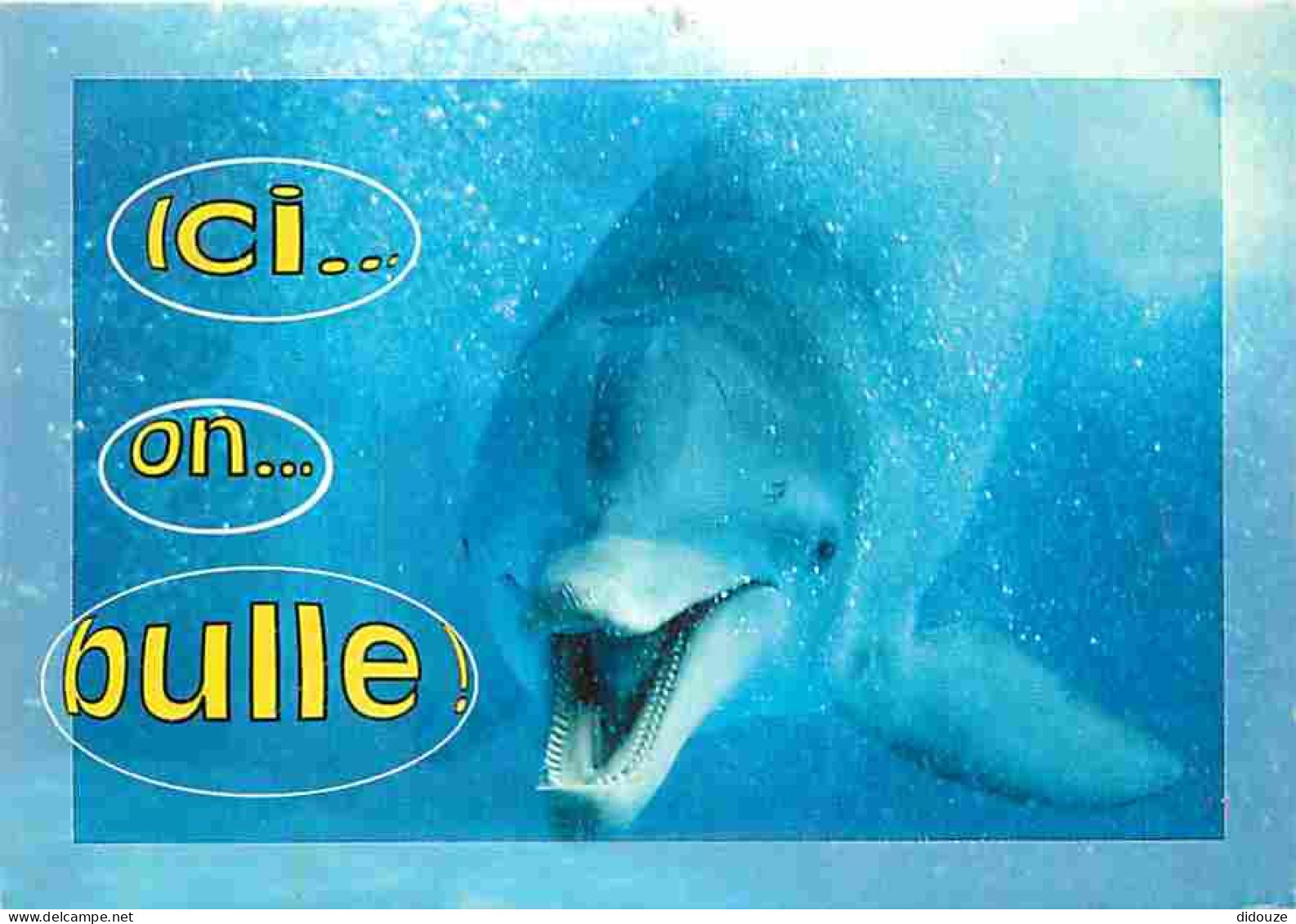 Animaux - Dauphins - CPM - Voir Scans Recto-Verso - Dolfijnen