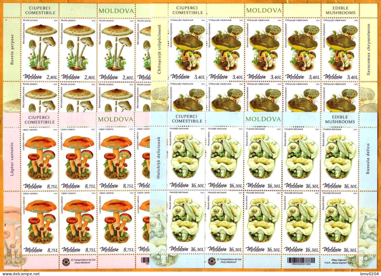 2022  Moldova Moldavie 4 Sheets  Mint  Mushrooms, Plants - Mushrooms