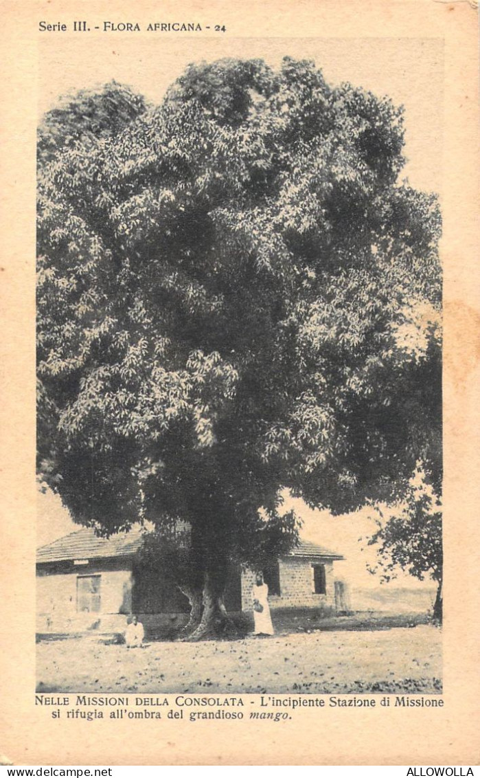 26902 " NELLE MISSIONI DELLA CONSOLATA-L'INCIPIENTE STAZIONE DI MISSIONE SI RIFUGIA......"CART.POST. NON SPED. - Ohne Zuordnung