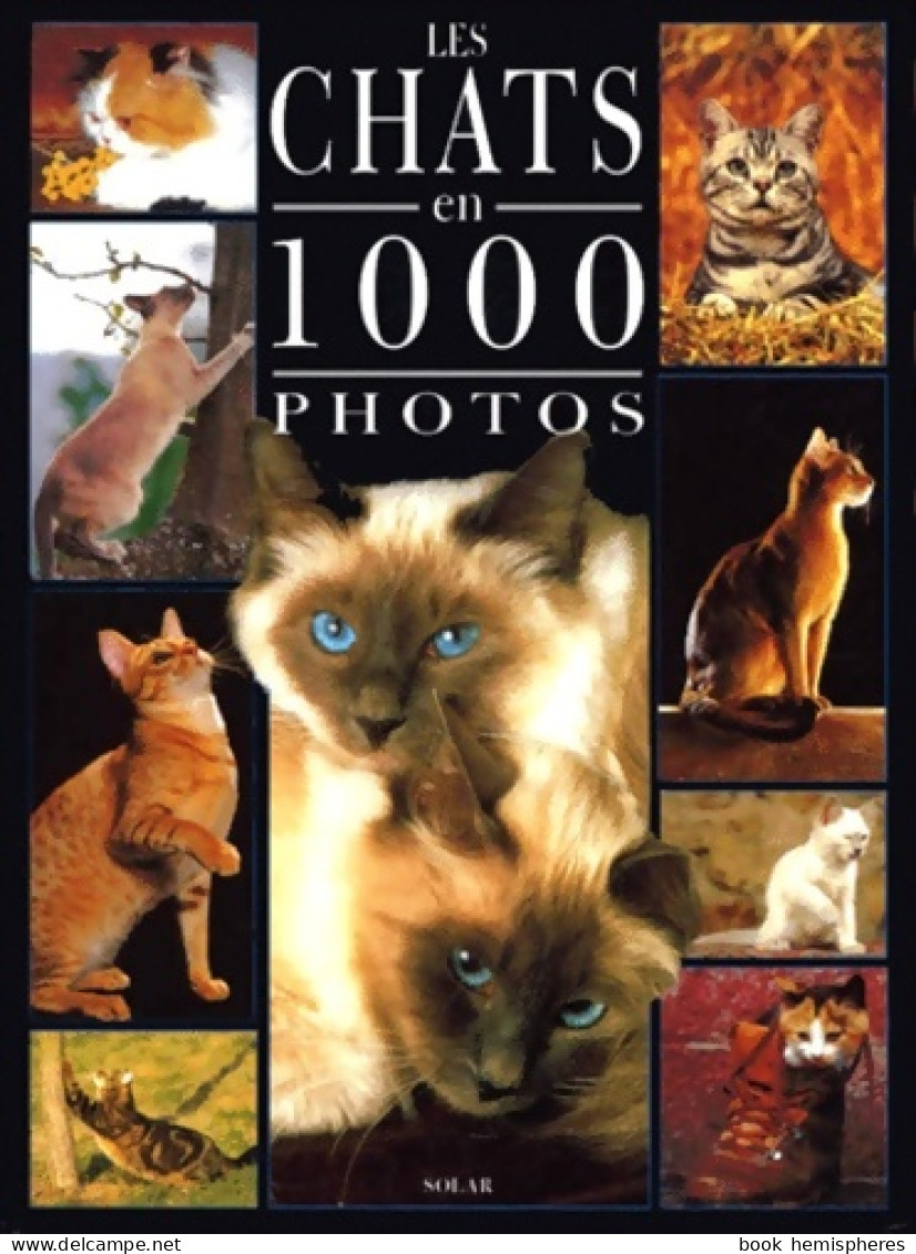 Chats 1000 Photos (1999) De Coppe - Dieren