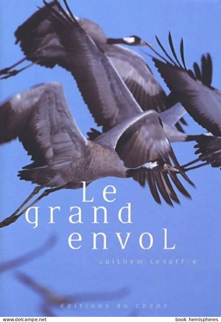 Le Grand Envol (2001) De Guilhem Lesaffre - Tiere