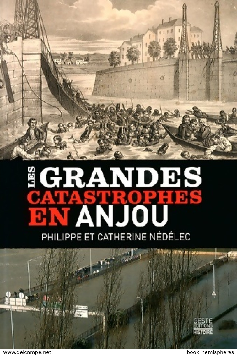 Les Grandes Catastrophes En Anjou (2013) De Philippe Nédélec - Geschichte