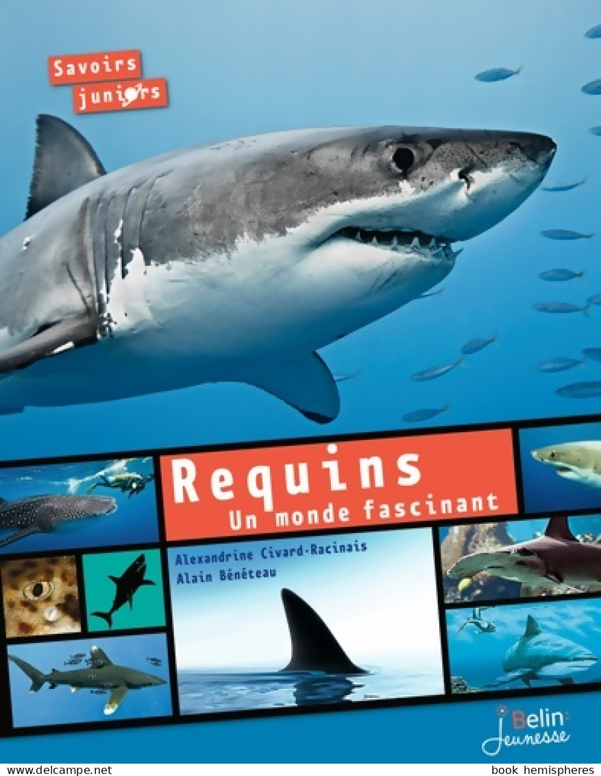 Requins : Un Monde Fascinant (2014) De Alexandrine Civard-Racinais - Animali