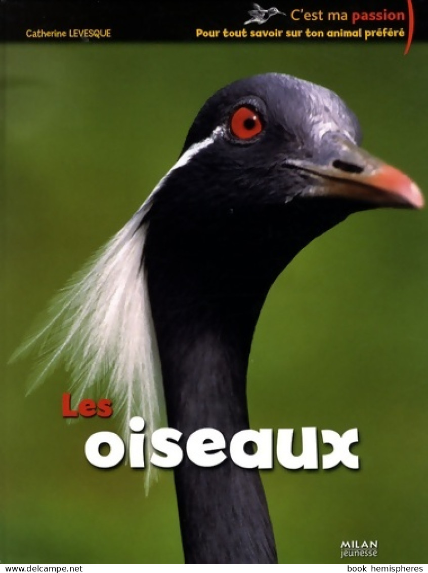 Oiseaux (les) (2009) De Jean Grosson - Other & Unclassified