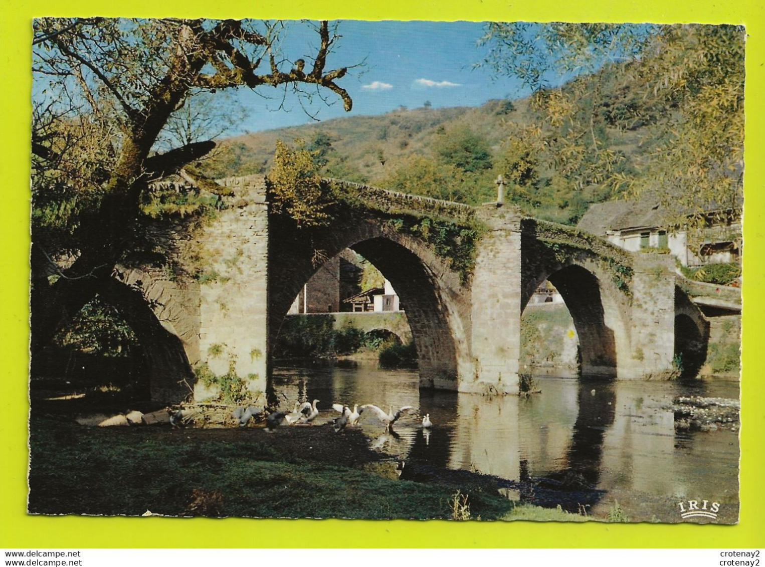 12 BELCASTEL Vers Rodez N°172 Le Pont Gothique Gorges De L'Aveyron Cygnes VOIR DOS - Rodez