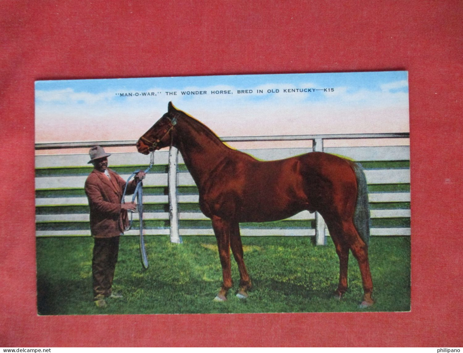 Man O War. The Wonder Horse.   Ref 6407 - Horses