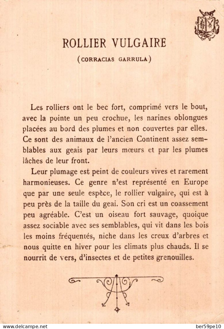 CHROMO ROLLIER VULGAIRE - Autres & Non Classés