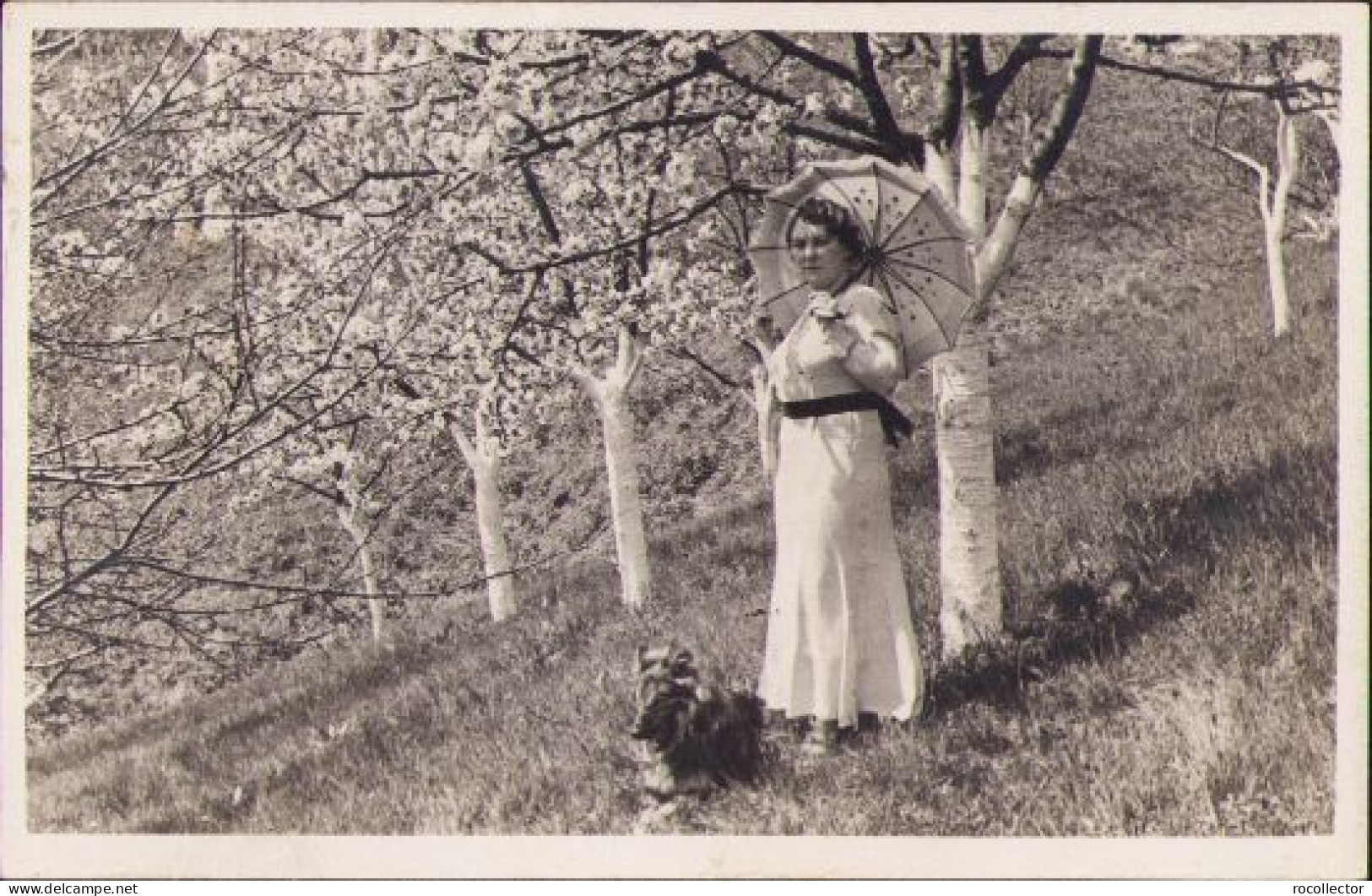 Young Woman With Umbrella, Ca 1930s Photo P1347 - Personas Anónimos