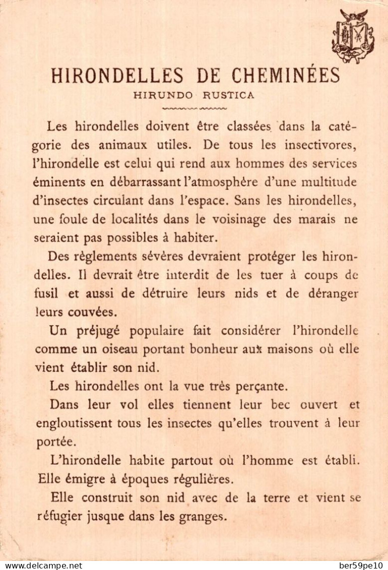 CHROMO HIRONDELLE DE CHEMINEE - Otros & Sin Clasificación