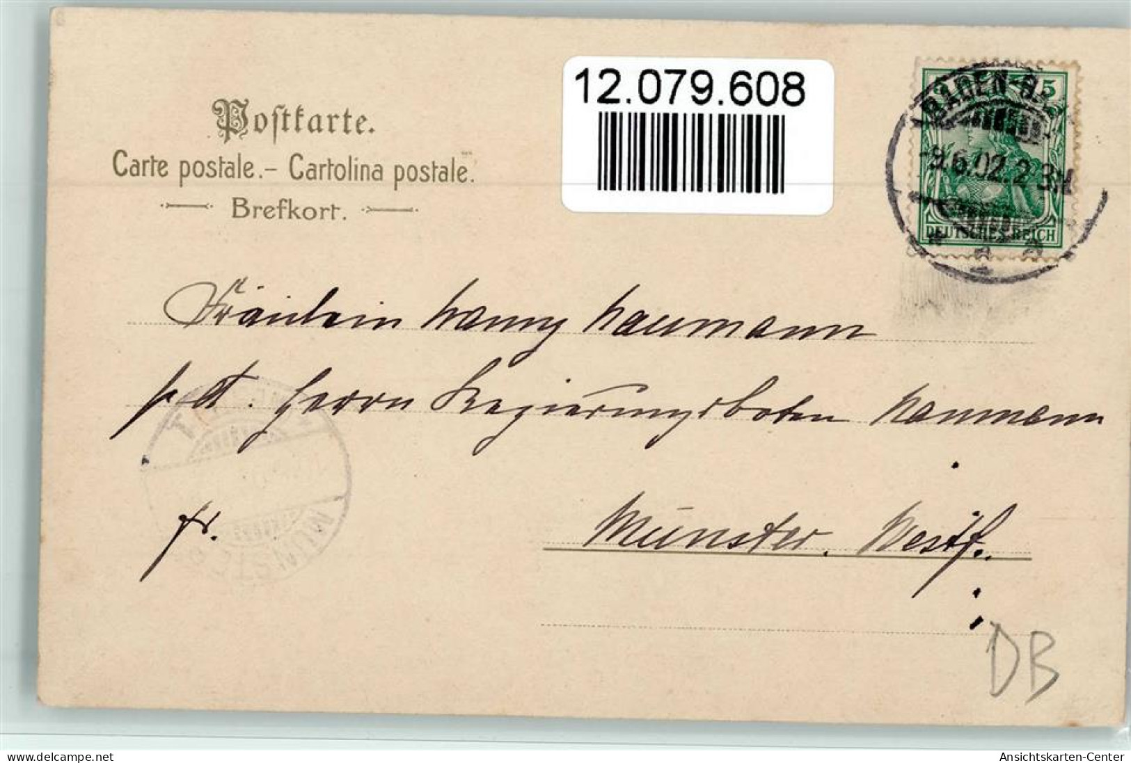 12079608 - Trachten Schwarzwald Tannenzweige, 1902 - Altri & Non Classificati