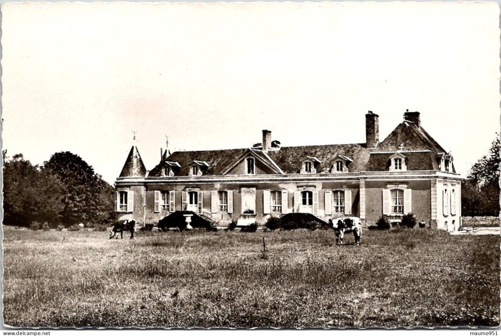 72 DOLLON - Château Du Parc - Other & Unclassified