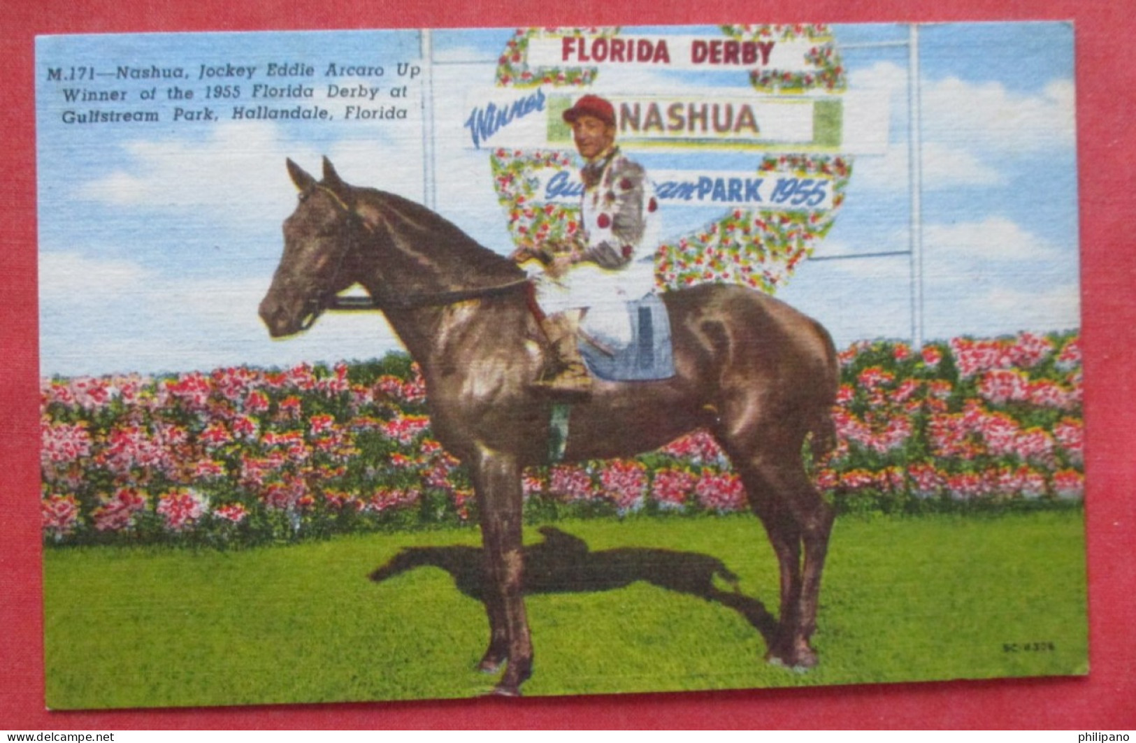 Nashua, Jockey Eddie Arcaro Up Winnter Of The 1955 Florida Derby At Gulfstream Park  Ref 6407 - Horses