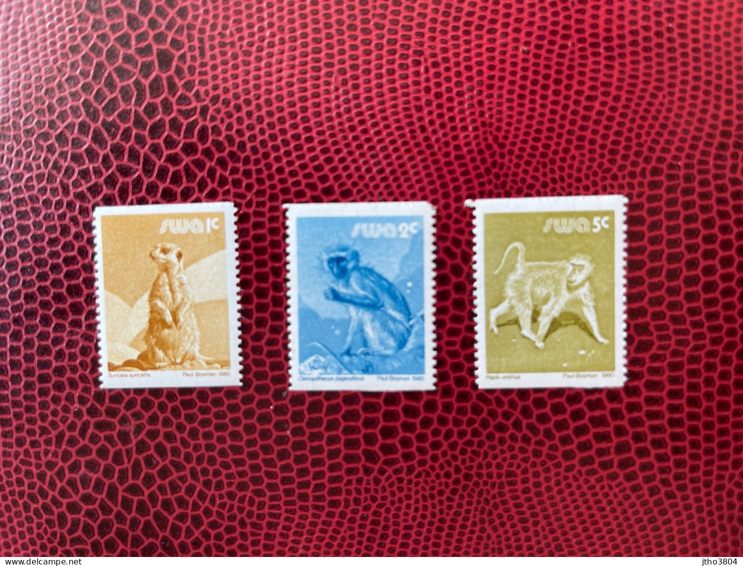 SWA 1980 SUD OUEST AFRICAIN 3v Neuf MNH ** Mi YT 450 452 Mamíferos Mammals Säugetiere SOUTH WEST AFRICA - Singes