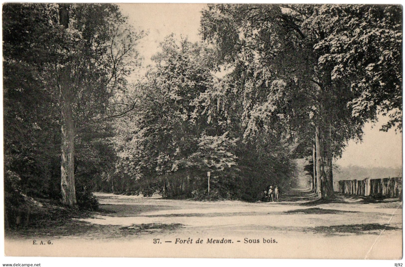 CPA 92 - Forêt De MEUDON (Hauts De Seine) - 37. Sous Bois - EAG - Meudon