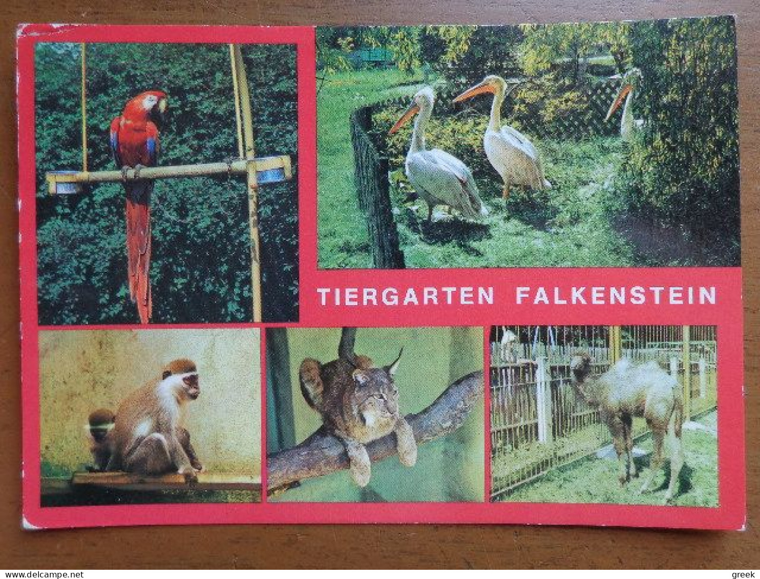 Zoo, Dierenpark, Tierpark / Tiergarten Falkenstein --> Written - Autres & Non Classés