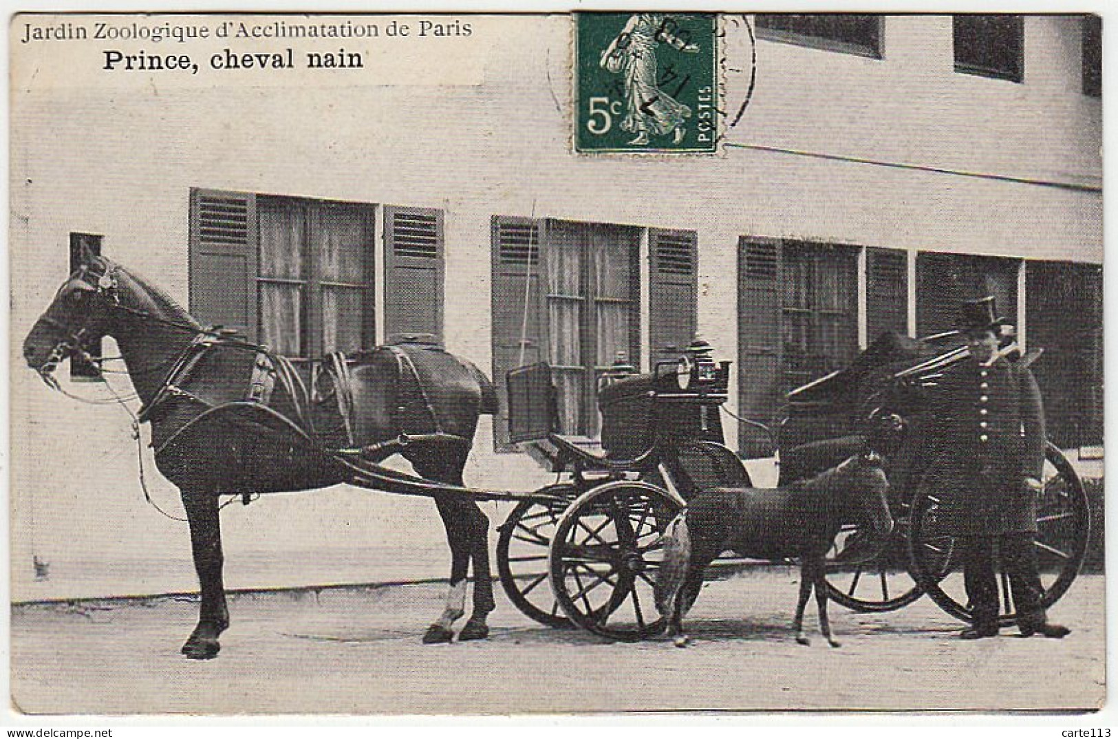 75 - B10544CPA - PARIS - ARR. 16 - Prince, Cheval Nain - Jardin Zoologique - Très Bon état - PARIS - Distretto: 16