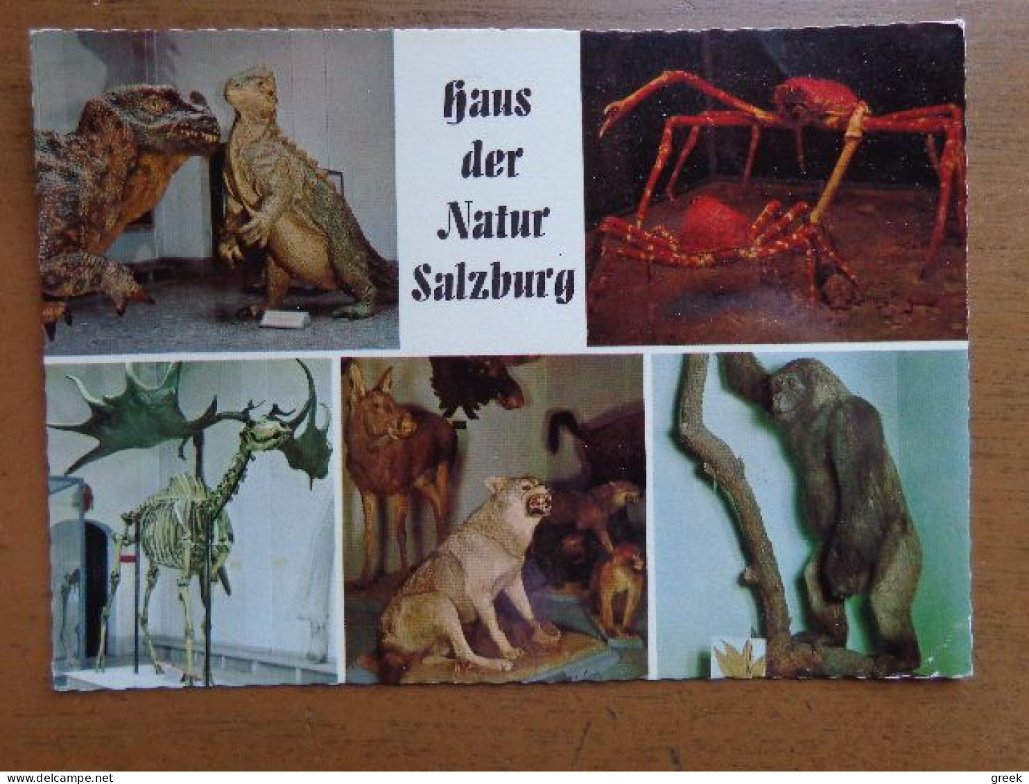 Haus Der Natur, Salzburg --> Written - Sonstige & Ohne Zuordnung