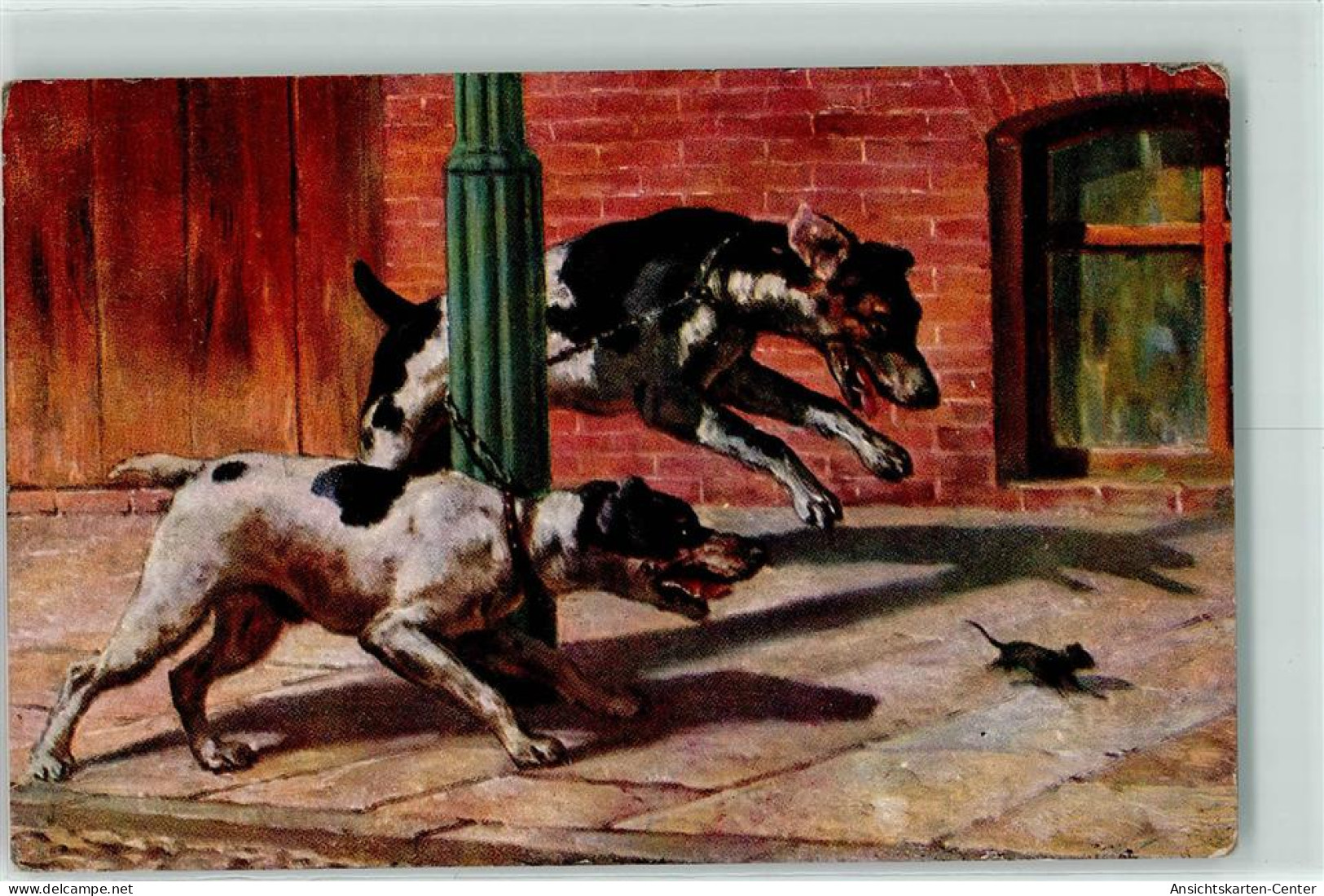 39282208 - Kettenhunde Maus Serie 207 - Hunde