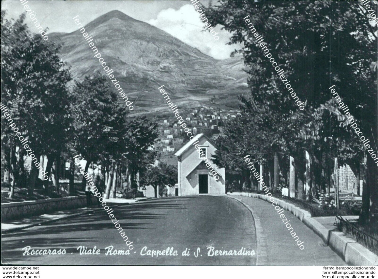 Bn466 Cartolina Roccaraso Viale Roma Cappella Di S.bernardino L'aquila - L'Aquila