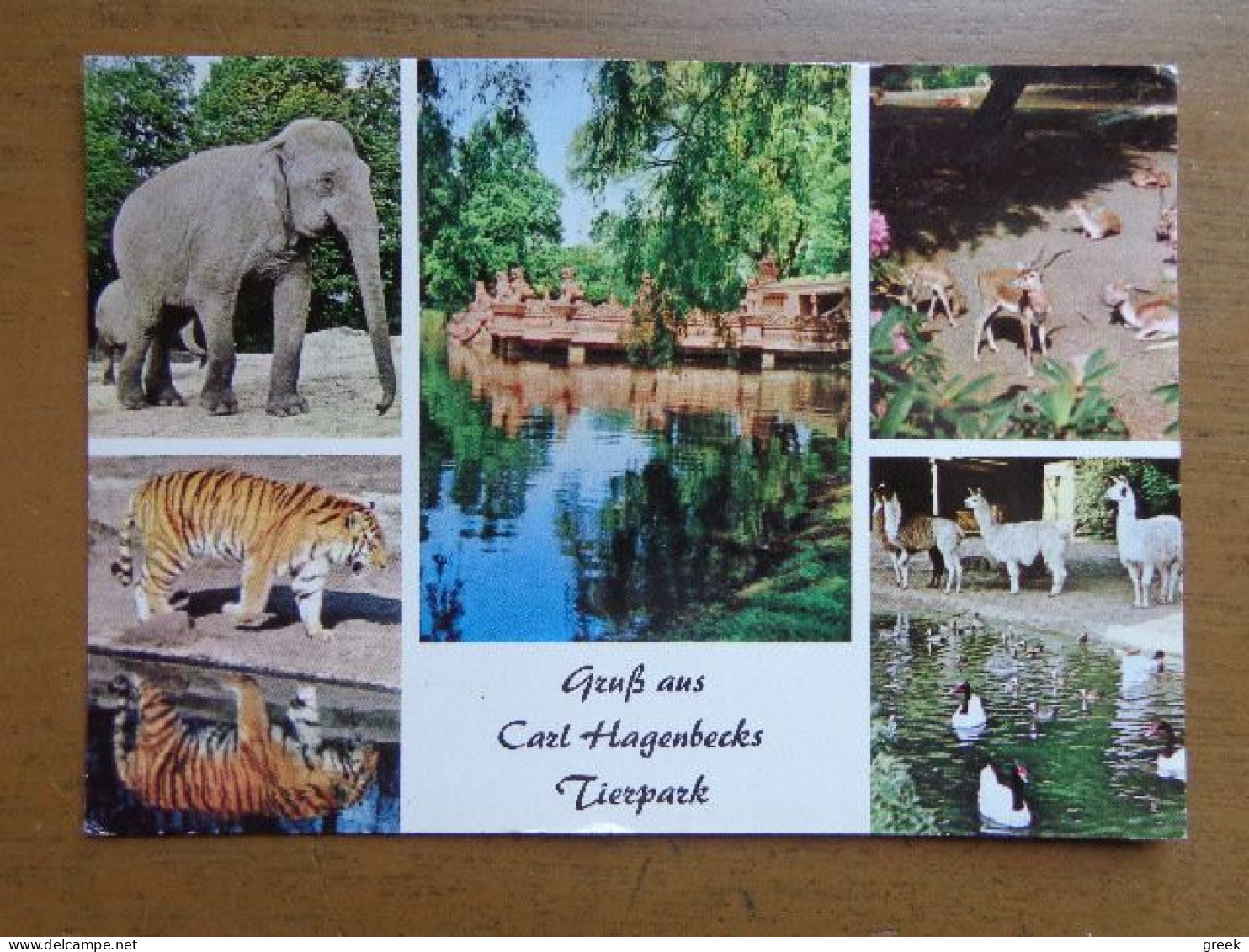 Zoo, Dierenpark, Tierpark / Carl Hagenbeck's Tierpark, Hamburg-Stellingen --> Unwritten - Andere & Zonder Classificatie