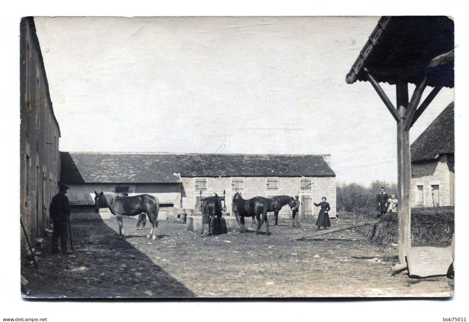 Carte Photo D'une Famille De Paysan Avec Leurs Chevaux Dans La Cour De Leurs Ferme Vers 1910 - Personas Anónimos