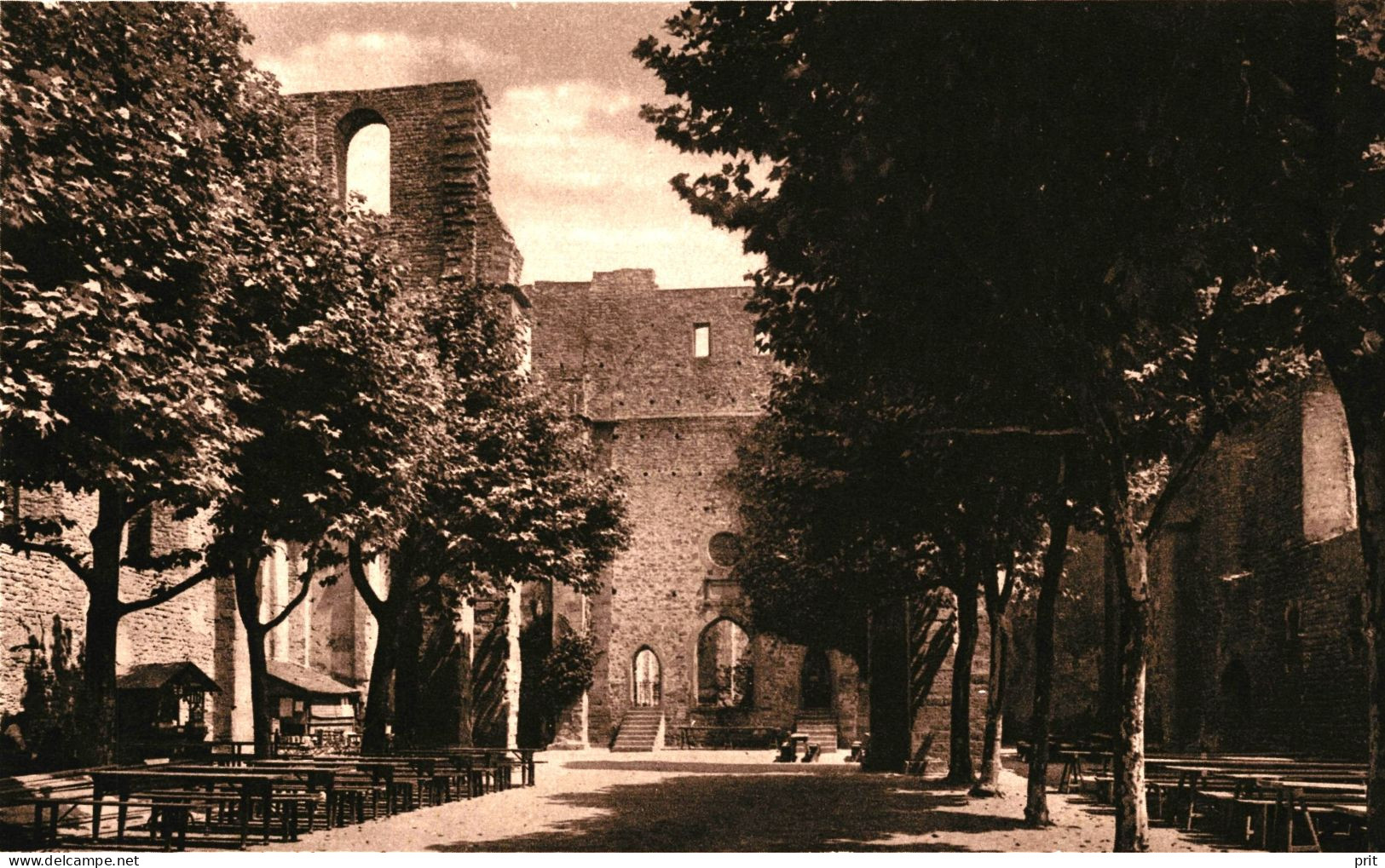 Kloster Ruine Limburg Bei Bad Dürkheim Blick In Das Langhaus Gegen Osten 1920s Unused Real Photo Postcard - Bad Dürkheim