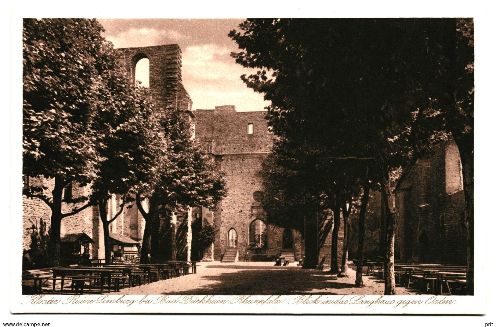 Kloster Ruine Limburg Bei Bad Dürkheim Blick In Das Langhaus Gegen Osten 1920s Unused Real Photo Postcard - Bad Duerkheim