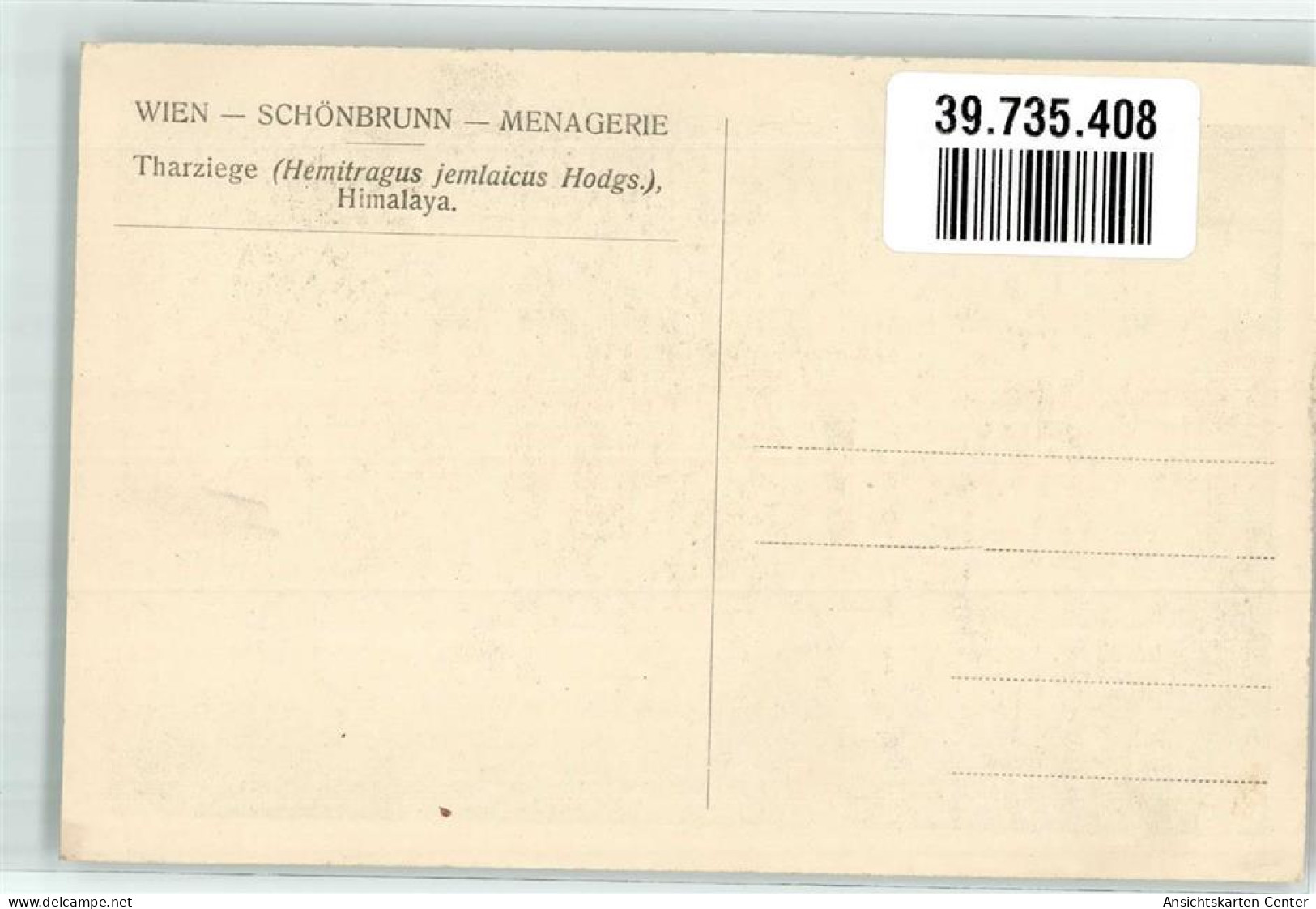 39735408 - Wien 13. Bezirk, Hietzing - Other & Unclassified