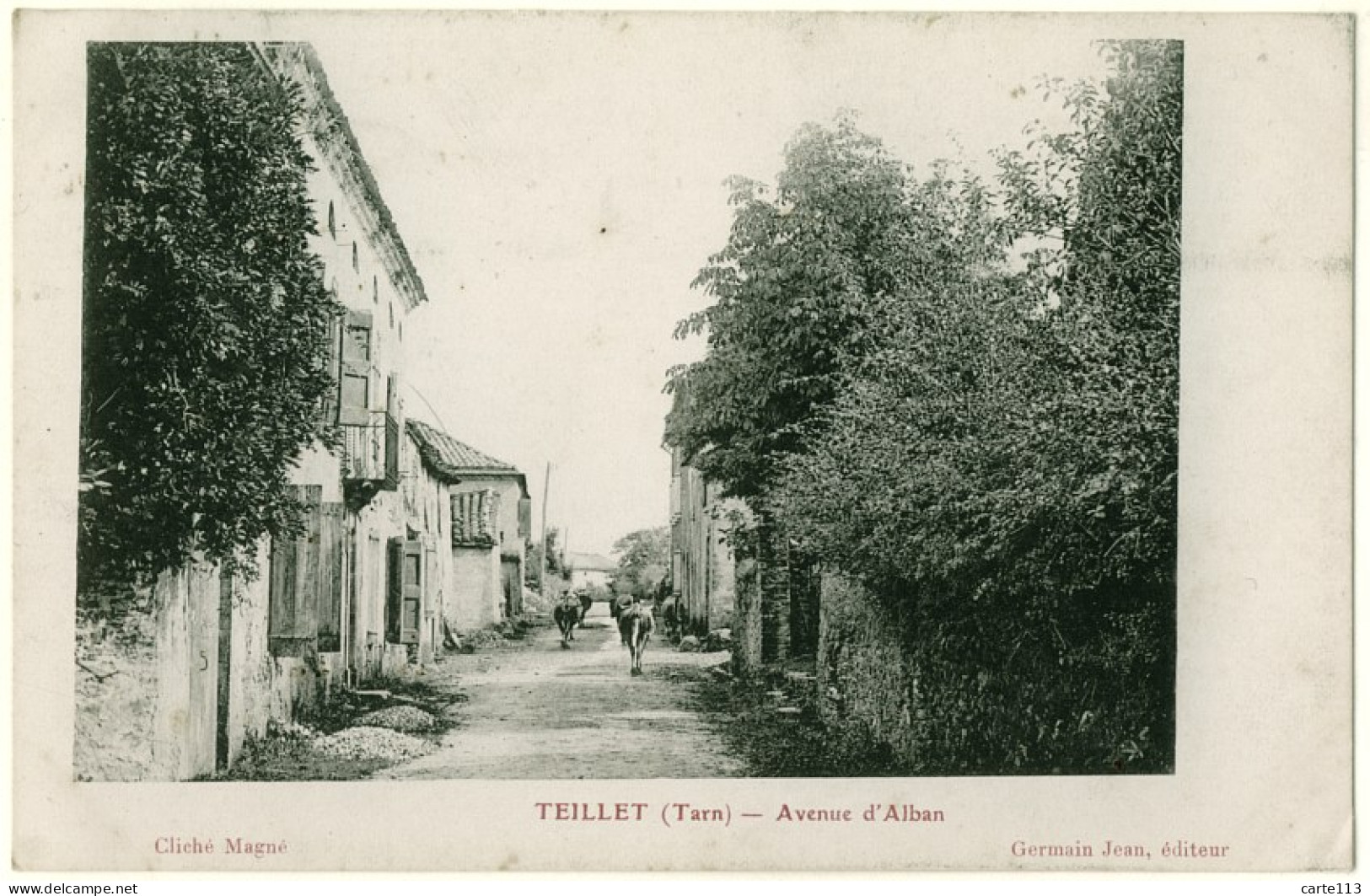 81 - B16484CPA - TEILLET - Avenue D' Alban - Très Bon état - TARN - Autres & Non Classés