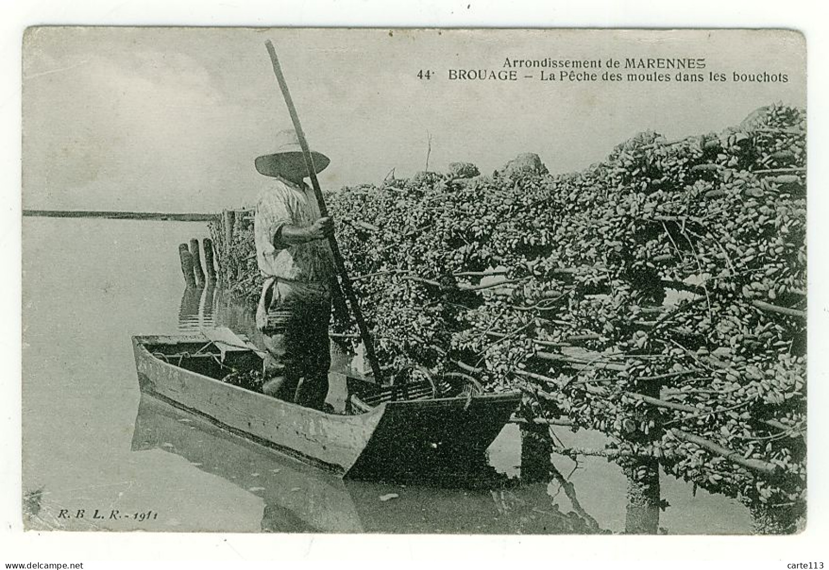 17 - T4731CPA - BROUAGE - MARENNES - La Pêche Des Moules Dans Les Bouchots - Assez Bon état - CHARENTE-MARITIME - Andere & Zonder Classificatie