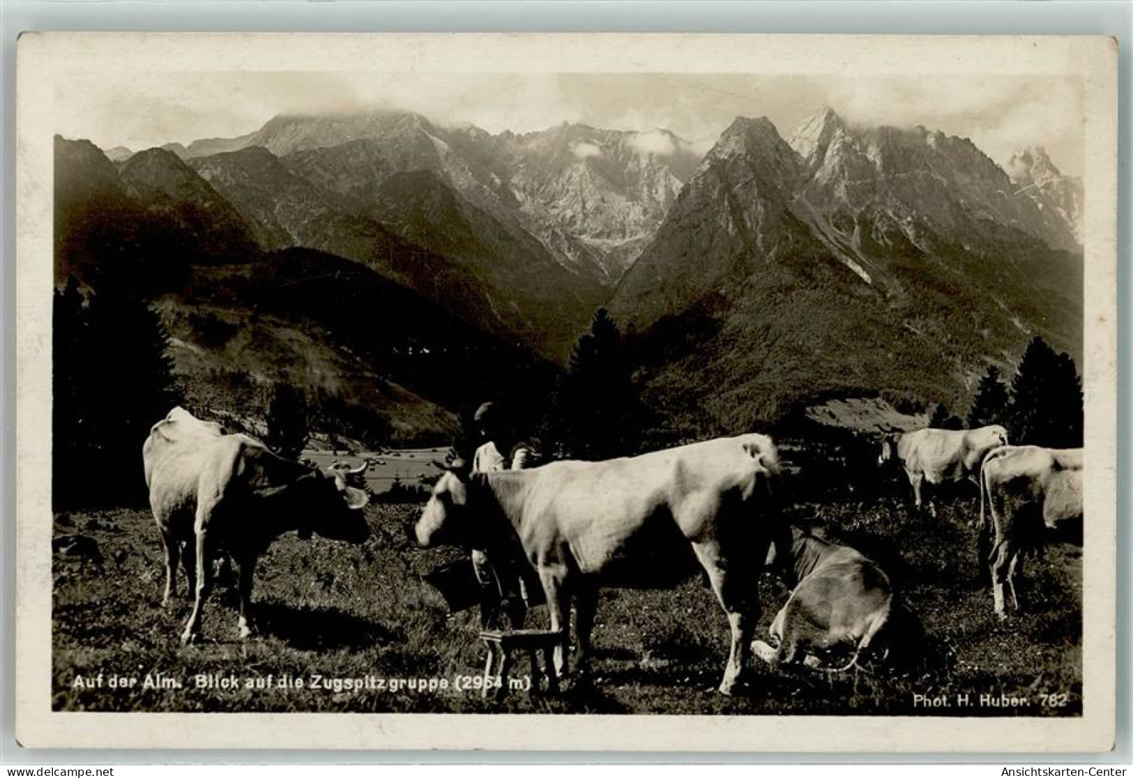 39289908 - Photo H. Huber Nr. 782 - Auf Der Alm - Deutsche Alpenwelt - Cows