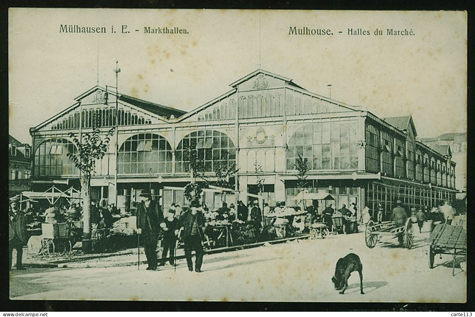 68 - T1696CPA - MULHOUSE - Halles Du Marché - Bon état - HAUT-RHIN - Mulhouse