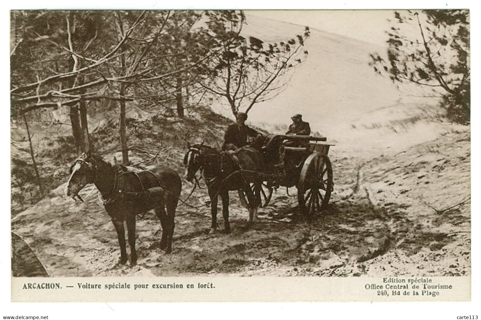 33 - T3483CPSM - ARCACHON - Voiture Spéciale Pour Excursion En Forêt - Parfait état - GIRONDE - Arcachon